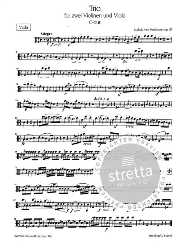Ludwig van Beethoven: Trio C-dur op. 87 (3)