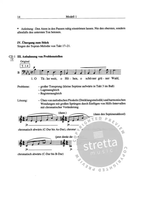 Sabine Mittenhuber - Stimmbildung im Chor (5)