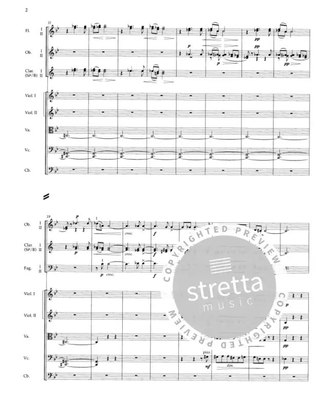Antonín Dvořák - Slawische Rhapsodie g-Moll op. 45/2 (2)