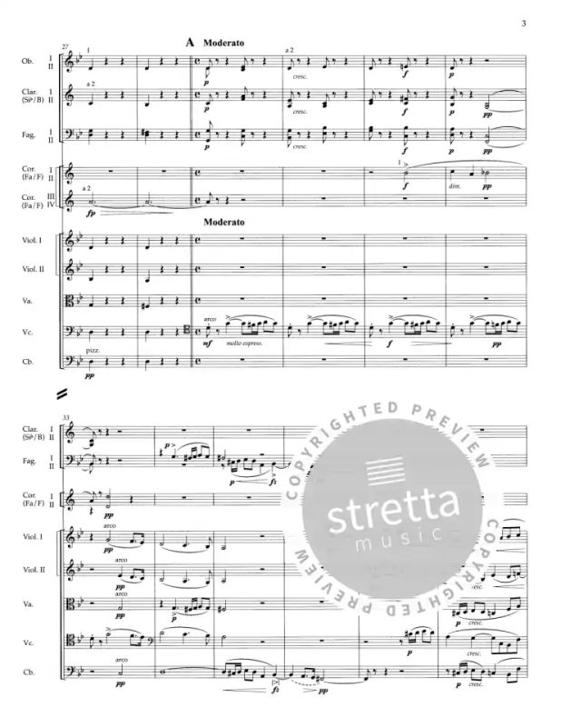 Antonín Dvořák - Slawische Rhapsodie g-Moll op. 45/2 (3)