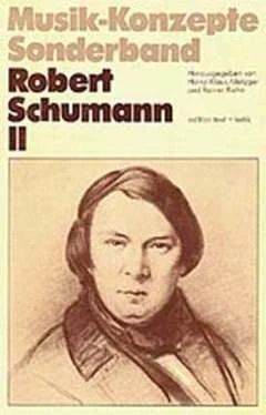 Musik-Konzepte Sonderband – Robert Schumann 2