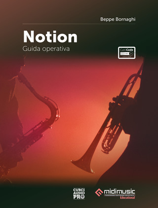Beppe Bornaghi: Notion
