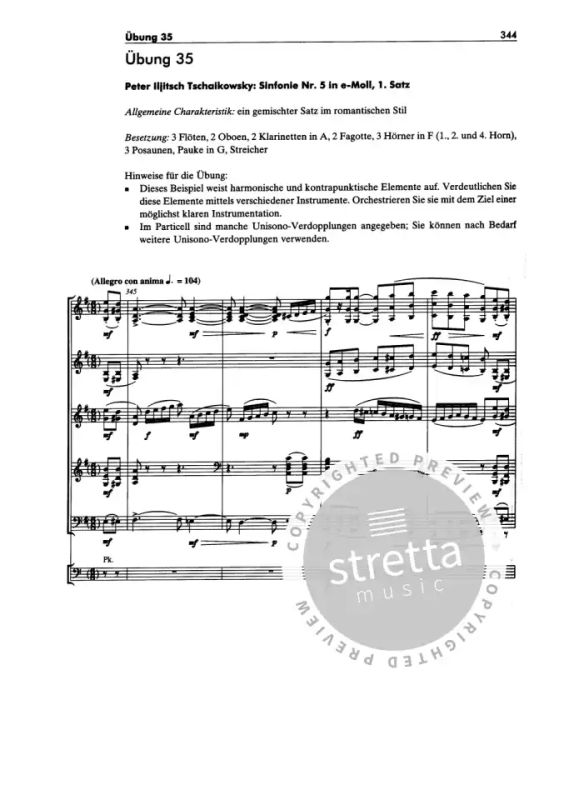 Ertugrul Sevsay - Handbuch der Instrumentationspraxis (8)