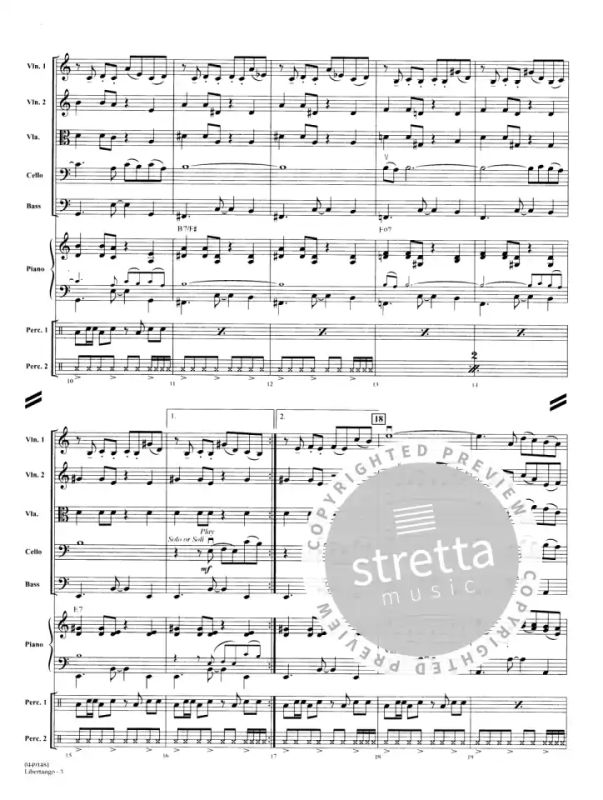 Astor Piazzolla - Libertango (2)