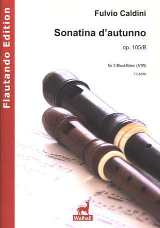 Fulvio Caldini - Sonatina D'Autunno Op 105b
