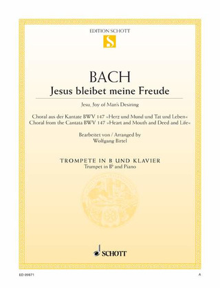 Johann Sebastian Bach - Jesu, Joy of Man's Desiring
