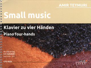 Teymuri Amir - Small Music