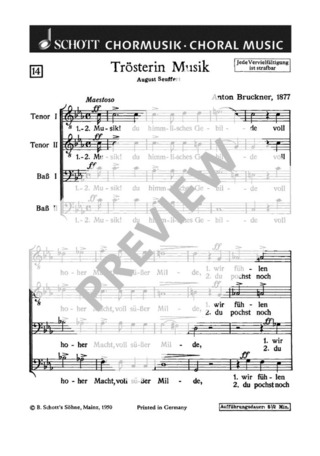 Anton Bruckner: Trösterin Musik