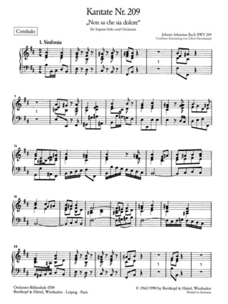 Johann Sebastian Bach: Kantate Nr. 209 BWV 209 "Non sa che sia dolore/ Was Schmerz sei und was Leiden"
