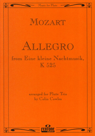 Wolfgang Amadeus Mozart - Allegro