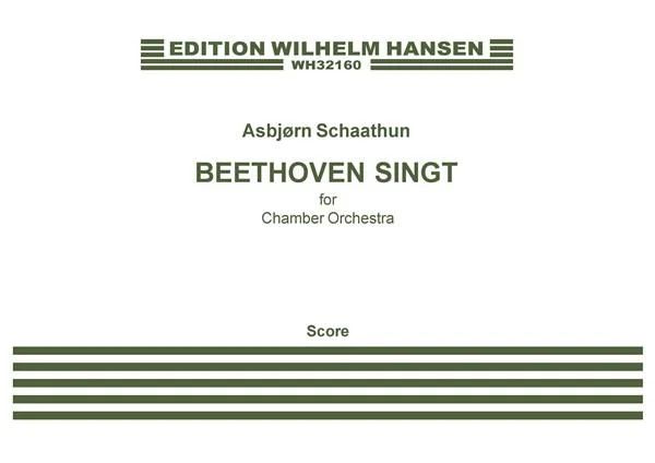 Asbjørn Schaathun - Beethoven Singt For Chamber Orchestra