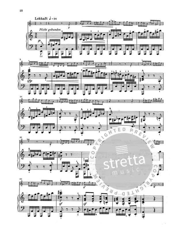 Robert Schumann - Violin Sonata No. 1 a minor op. 105