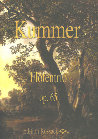 Caspar Kummer - Trio Op 65