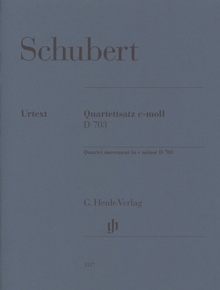 Franz Schubert - Quartet movement in c minor D 703