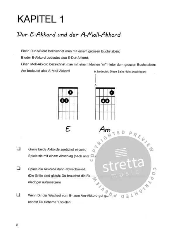 Michiel Merkies: Rhythmus Gitarre 1 (1)