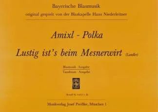 Jahnen Gerd - Amixl Polka + Lustig Ist's Beim Besnerwirt