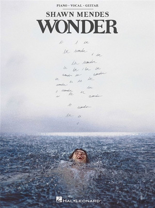 S. Mendes - Wonder