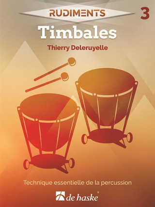 Thierry Deleruyelle - Rudiments 3