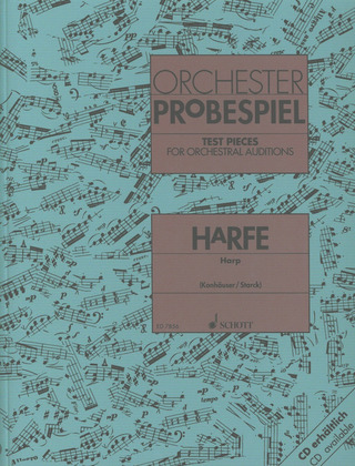 Orchester-Probespiel Harfe