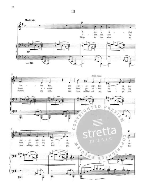Antonín Dvořák - Zigeunermelodien op. 55 (2)