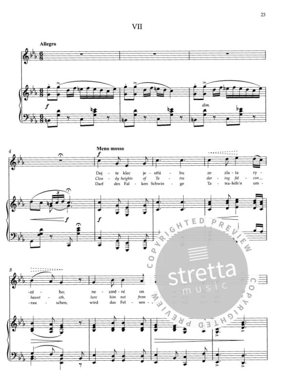 Antonín Dvořák - Zigeunermelodien op. 55 (3)
