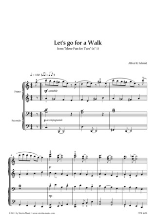 Alfred R. Schmid: Let's go for a Walk