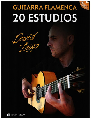 David Leiva - Guitarra Flamenca