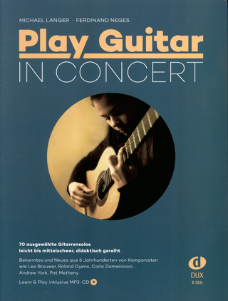 Play Guitar in Concert