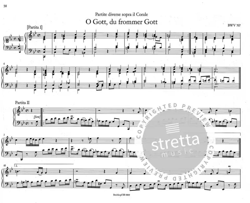 Johann Sebastian Bach - Complete Organ Works 9 (2)