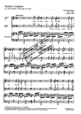Robert Schumann: Dunkler Lichtglanz op. 13810 (1840)