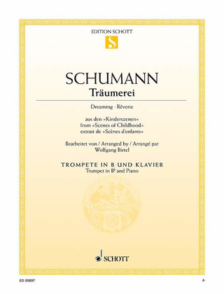 Robert Schumann - Träumerei