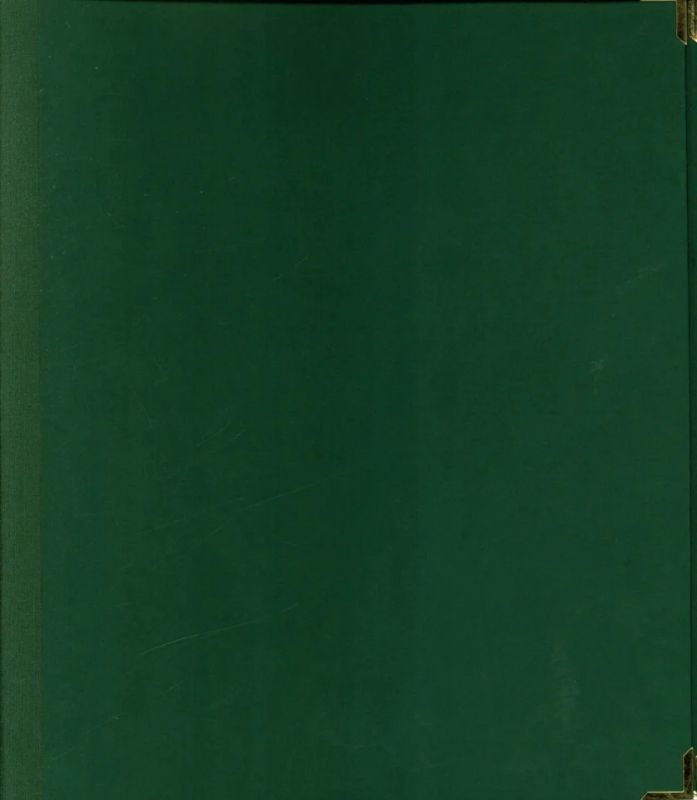 STAR Notenmappe 28x33cm hoch 45mm Rücken grün