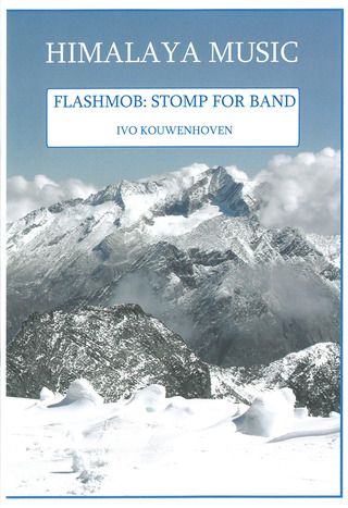 Ivo Kouwenhoven - Flashmob: Stomp For Band