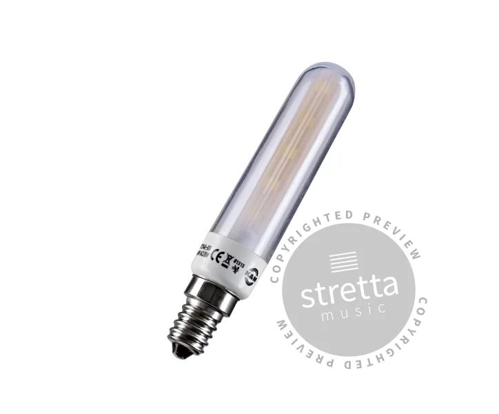 LED replacement bulb 12294