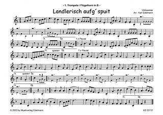 (Traditional) - Landlerisch aufg'spuit
