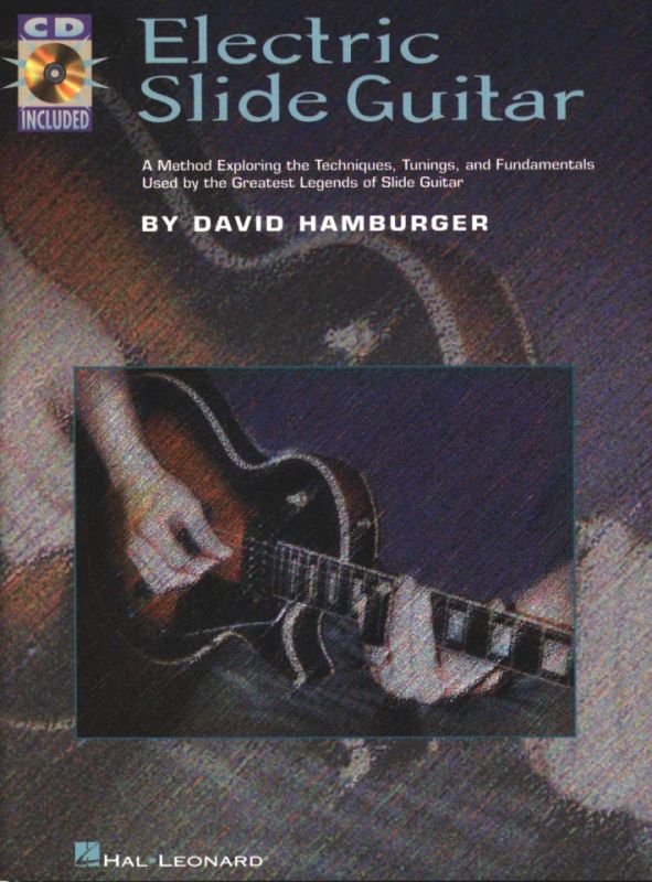 David Hamburger - Electric Slide Guitar