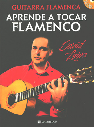 David Leiva - Aprende a tocar flamenco