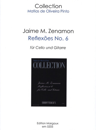 Jaime Mirtenbaum Zenamon - Reflexões No. 6