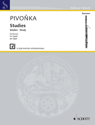 Karel Pivonka - Studies