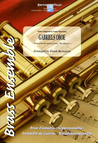 Ennio Morricone: Gabriels Oboe (The Mission) - Theme
