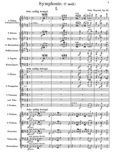 F. Woyrsch: Sinfonie Nr. 1 c-moll op. 52