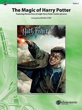 DL: The Magic of Harry Potter, Blaso (Fag)