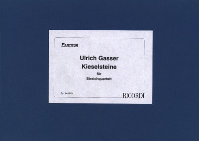 AQ: U. Gasser: Kieselsteine (Part.) (B-Ware)
