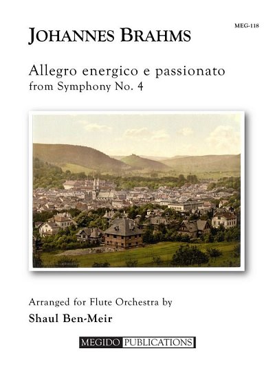 Allegro Energico e Passionato from Symphony N, FlEns (Pa+St)