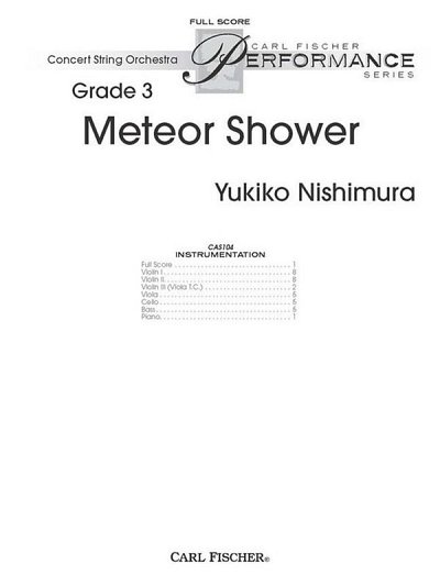 Y. Nishimura: Meteor Shower