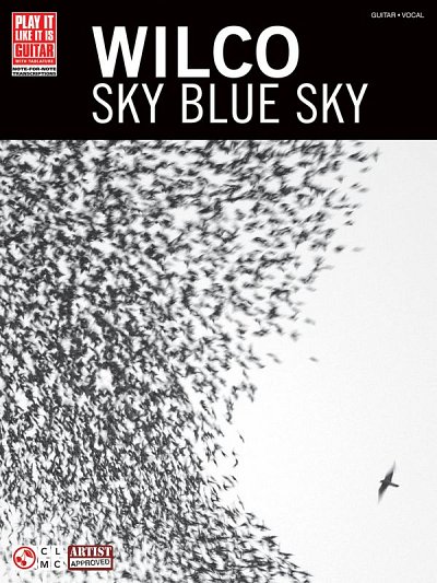 Wilco - Sky Blue Sky, Git
