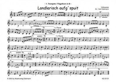 (Traditional): Landlerisch aufg'spuit, BlaskJblaso (Dir+St)