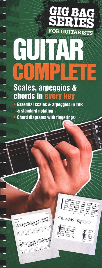 AQ: Bridges Mark: The Gig Bag Book Of Guitar Comple (B-Ware)