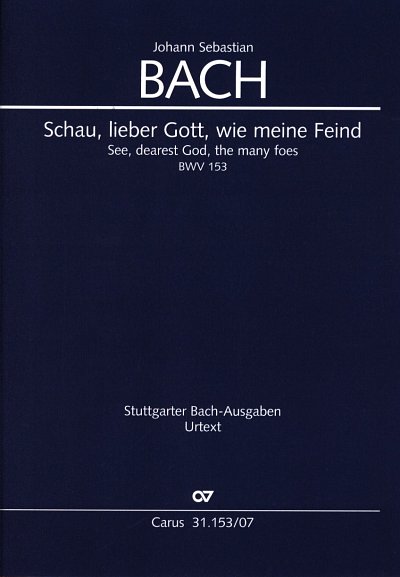 J.S. Bach: See dearest God the many Foes