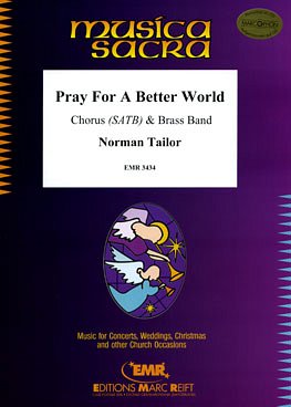 N. Tailor: Pray For A Better World